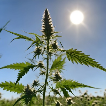 70f79dd4-c492-47a5-9ef9-8e5327654794